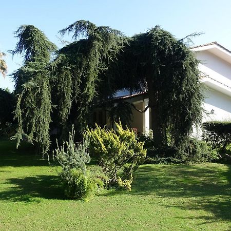Villa Paradiso Le Rughe Εξωτερικό φωτογραφία